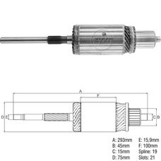 Imagen del producto INDUCIDO BOSCH SC 24V JE (IVM14028) 19 ESTRIAS